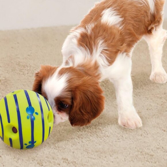 Ball, Interactive Dog Toy, Fun Giggle Sounds When Rolled or Shaken, Pets Know Be - Picture 2 of 9